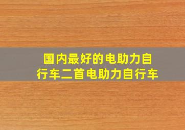 国内最好的电助力自行车二首电助力自行车