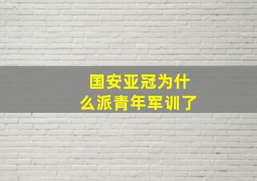 国安亚冠为什么派青年军训了