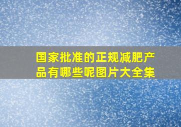 国家批准的正规减肥产品有哪些呢图片大全集