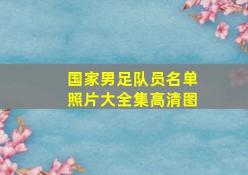 国家男足队员名单照片大全集高清图