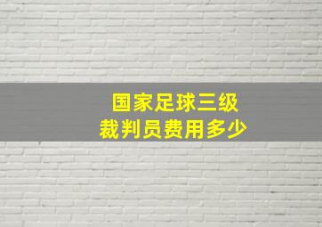 国家足球三级裁判员费用多少