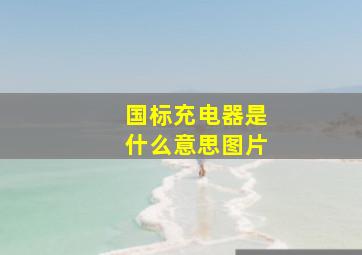 国标充电器是什么意思图片