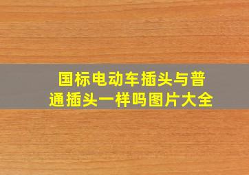 国标电动车插头与普通插头一样吗图片大全