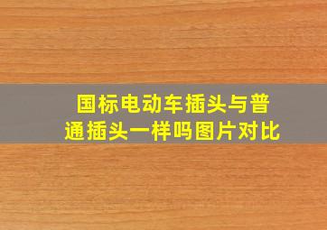 国标电动车插头与普通插头一样吗图片对比