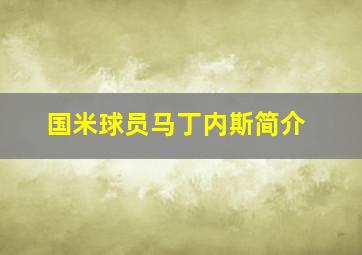 国米球员马丁内斯简介