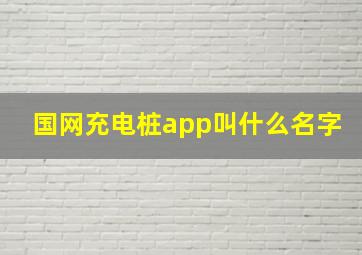 国网充电桩app叫什么名字