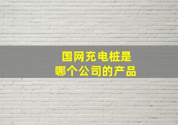 国网充电桩是哪个公司的产品