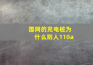 国网的充电桩为什么别人110a