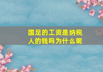 国足的工资是纳税人的钱吗为什么呢