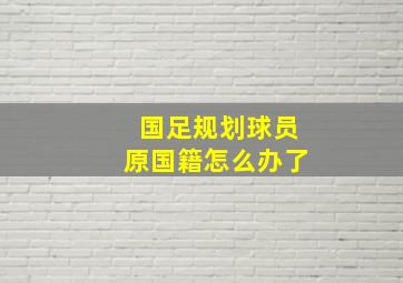 国足规划球员原国籍怎么办了