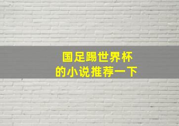 国足踢世界杯的小说推荐一下