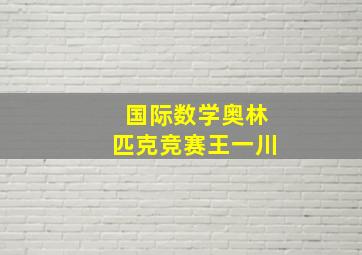 国际数学奥林匹克竞赛王一川