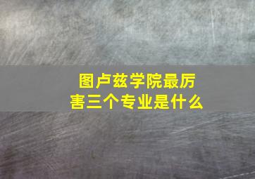 图卢兹学院最厉害三个专业是什么