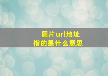 图片url地址指的是什么意思