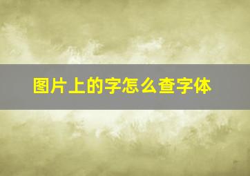 图片上的字怎么查字体