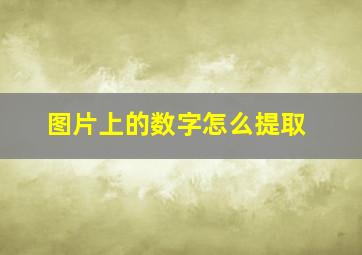 图片上的数字怎么提取