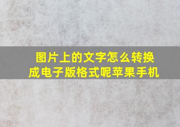 图片上的文字怎么转换成电子版格式呢苹果手机