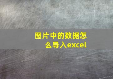 图片中的数据怎么导入excel