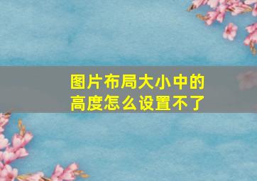 图片布局大小中的高度怎么设置不了