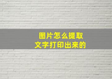 图片怎么提取文字打印出来的