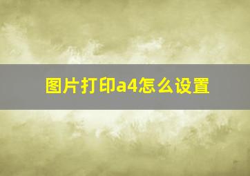 图片打印a4怎么设置