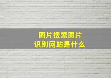 图片搜索图片识别网站是什么