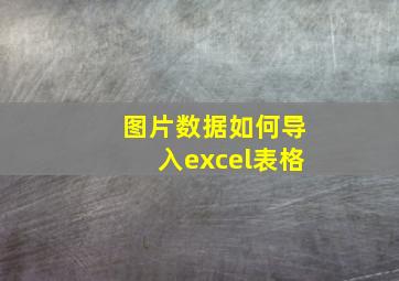 图片数据如何导入excel表格