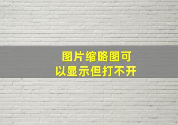 图片缩略图可以显示但打不开