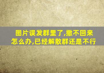 图片误发群里了,撤不回来怎么办,已经解散群还是不行