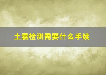 土囊检测需要什么手续