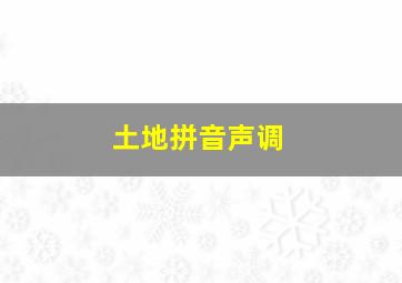 土地拼音声调