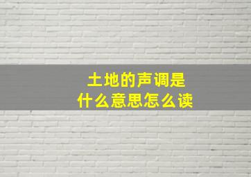 土地的声调是什么意思怎么读