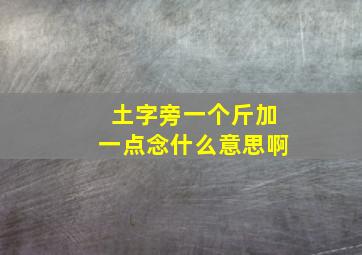 土字旁一个斤加一点念什么意思啊