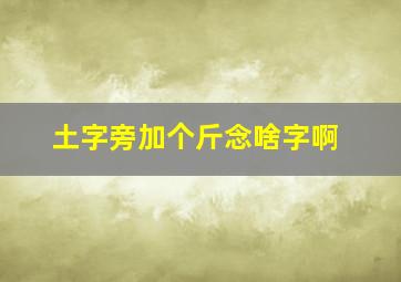 土字旁加个斤念啥字啊