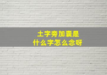 土字旁加囊是什么字怎么念呀