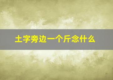 土字旁边一个斤念什么