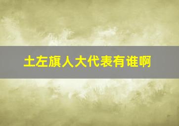 土左旗人大代表有谁啊