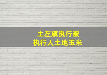 土左旗执行被执行人土地玉米