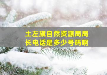 土左旗自然资源局局长电话是多少号码啊