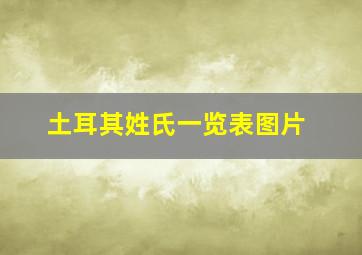 土耳其姓氏一览表图片