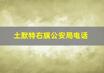 土默特右旗公安局电话