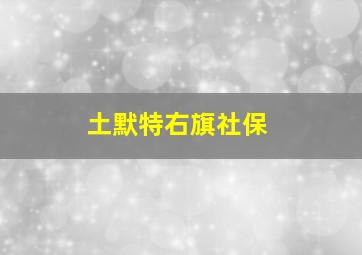 土默特右旗社保