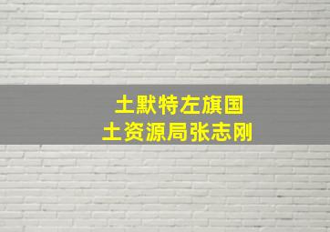 土默特左旗国土资源局张志刚