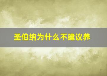 圣伯纳为什么不建议养