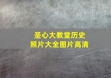 圣心大教堂历史照片大全图片高清