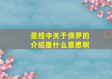 圣经中关于保罗的介绍是什么意思啊