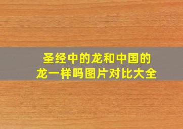 圣经中的龙和中国的龙一样吗图片对比大全