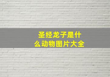 圣经龙子是什么动物图片大全