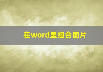 在word里组合图片