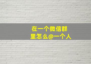 在一个微信群里怎么@一个人